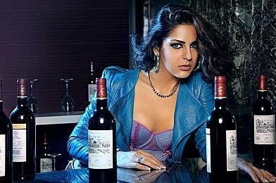 《守望先锋：归来》第三赛季2月7日上线 双倍经验活动开启